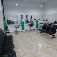 دعوت به همکاری منشی خانم