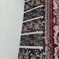 تشک وپشتی