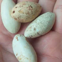 مهره و هبهاب حدید نگین هایه قدیمی و اصل