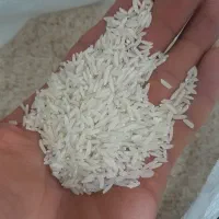 برنج درجه ۱