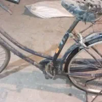 دوچرخ|دوچرخه، اسکیت، اسکوتر|بندرعباس, |دیوار