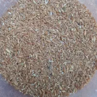 برویش درج یک