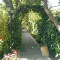 فروش-باغ