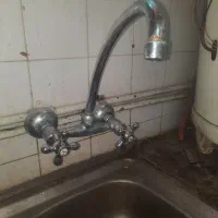 ۳ عدد شیر دوقلو کم کار جدید
