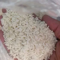 برنج. مححشر و خوشش عطر دورود