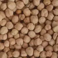 فروش نخود