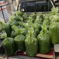 پخش سبزی خردشده پلو کوکو آش و....