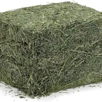 فروش یونجه خشک قهرمان