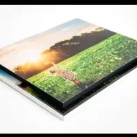 عکس روی تخته شاسی (نصف قیمت بازار)