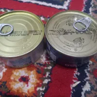 تن ماهی