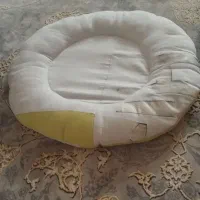 بالشتک نشیمن