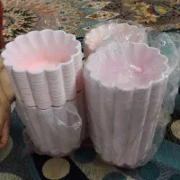 ظرف یک بار مصرف