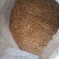 ۵۰ کیلو جو