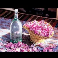 گلاب عمده قیمت عالیی