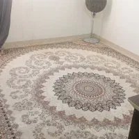 قالی درحد نو