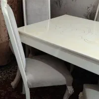 6نفره
