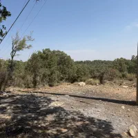 فروش-زمین-کشاورزی