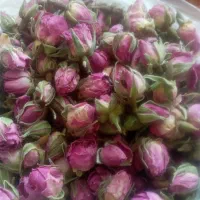 گل محمدی غنچه وگل برگ