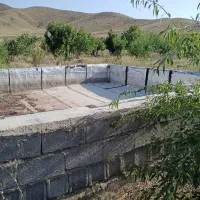 فروش باغ واقع در عسگرآباد بدون آب