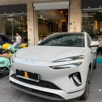 بی وای دی سی لاین(BYD SEA LION 06) کرمان