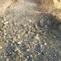 زمین دیم در روستای شیروانشاهلو