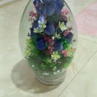 گل حبابی و مقدار وسیله