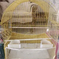 قفس پرنده