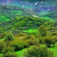زمین مسکونی بالای داماش ، بهشت ایران