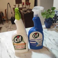 آقا هستم کار نظافتی انجام میدهم