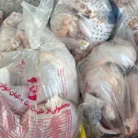 قصاب مرغی میخام