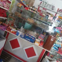 استندتخمه وفیریزرخوابیده