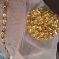 ساری زیبا پرکار
