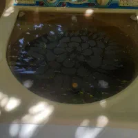 لباسشویی سطلی
