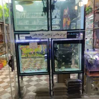 شیشه آکواریوم ده میل دکوری جذاب