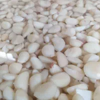 ب چند نفر نیروی خانوم جهت پاک کردن سیر  کالباسی