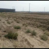 زمین زراعی
