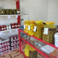 فروش کیلویی به قیمت درب کارخانه