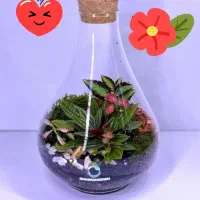 جنگل در خانه