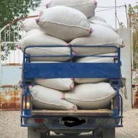کاه گندم آبی
