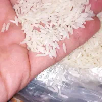۱۰کیلو برنج هاشمی سالم