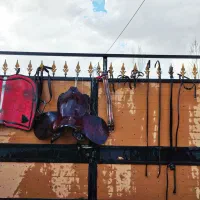 زین برنو اصل همراه با دهنه و وسایل تکمیلی سواری .