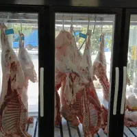 فروش لوازم کامل قصابی و مرغ فروشی
