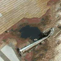 قدیمی اگزوز مکس لول بلند معاوضه
