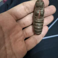 هبهاب