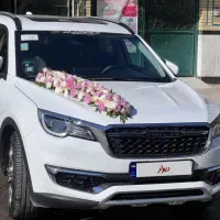 فیدلیتی ۷ نفره