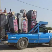 تنوع گاوصندوق تنوع