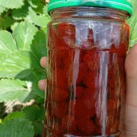 مربای توت فرنگی و مربای گل محمدی تازه
