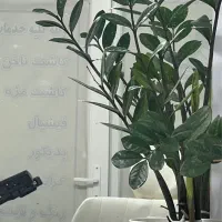 واگذاری سالن آرایشی با وسایل