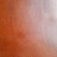 مدارک پیدا شده بنام محمدرضا فلاحی