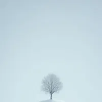 سیم کارت کد ۳ خط رند ۳۴۱